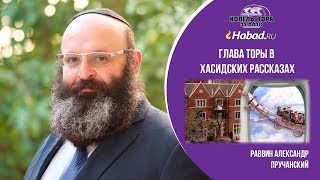 Письмо из Франции. Сила постоянства. Недельная глава Торы "Ваикра"