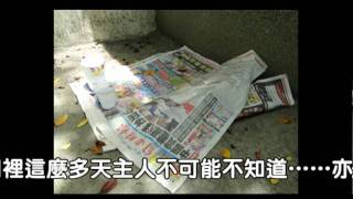 臘腸的哭泣