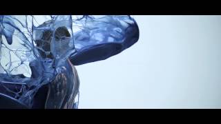 New adidas add Blue Chelsea 2013 - Torres, Mata, Cahill, Luiz, Terry