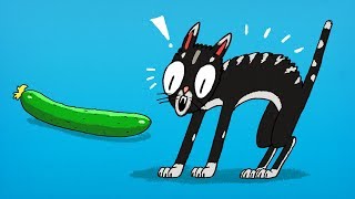 A Razão Nada Divertida  para os Gatos Odiarem Pepinos