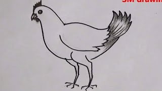 How to draw hen with pencil drawing || Easy drawings for beginners || Learning basic drawing