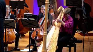 Baroque Flamenco, Concerto for Harp and Orchestra.  Henson-Conant.  Michael Rublesky, harp.