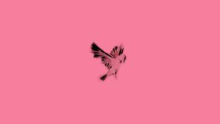 (FREE) Juice WRLD x Lil Skies ft. Trippie Redd Type Beat - Bird Trap