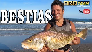 Programa 146 MDQ-Team Tv | Variada de Marzo, corvinas, bagres, chuchos y mas