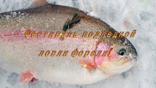 Ловля форели зимой на платниках видео