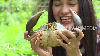 Menangkap dan Mengolah Kepiting Bakau | AMAZING TRIP In Tahuna (25/01/10) Part 2