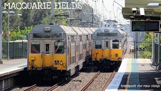 Transport for NSW Vlog No.1117 Macquarie Fields part 2