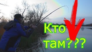 Рыбалка на живца. My fishing