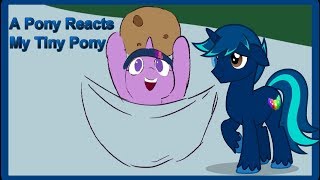 A Pony Reacts - My Tiny Pony