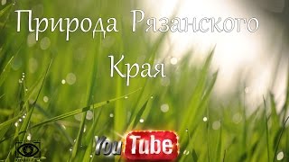 Природа Рязанского края.
