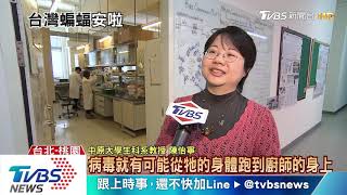【十點不一樣】台灣蝙蝠也曾檢出「冠狀病毒」專家：不會感染人