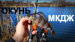 ЗА ОКУНЕМ ПОСЛЕ СХОДА ЛЬДА | Микроджиг и мормышинг - Рыбалка со stigan'ом