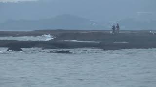 日曜日の和歌山県みなべ町堺地磯沖磯釣り人の様子。８月２５日