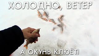 ХОЛОДНО, ВЕТЕР, А ОКУНЬ КЛЮЕТ!