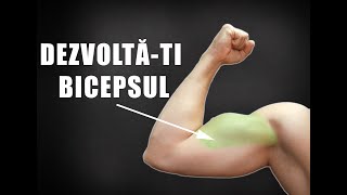 Cele mai bune exercitii pentru biceps- Bazat pe Stiinta!