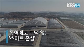 폭염에도 끄떡없는 '대형 스마트 온실' 개발 2019.11.26(화)