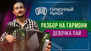 Девочка ПАЙ На гармони РАЗБОР