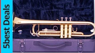 5 Best Trumpet In 2020