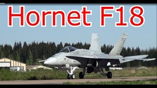 Hornet F18 fighter