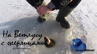 Ловля щуки на жерлицы. На Ветлугу по первому льду. Видео отчет  от 29 ноября 2015
