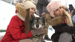 Веселый снеговик