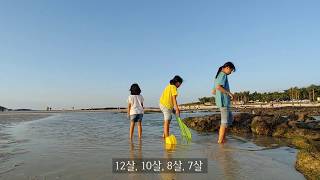 금능해수욕장 즐기기! 뜰채와 양동이 필수 fun day on the beach