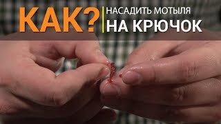 Как насадить мотыля на крючок?