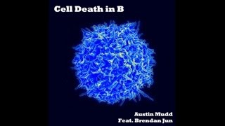 Cell Death in B