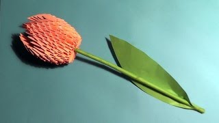 Модульное оригами тюльпан (схема сборки, пошаговая инструкция)