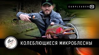 Колеблющиеся микроблесны