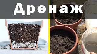 ТАК ЛИ ВАЖЕН ДРЕНАЖ РАСТЕНИЮ, КАК ОБ ЭТОМ ТВЕРДЯТ?