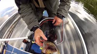 Latitude Fishing - Pêche du brochet en Suède - Lac Foxen