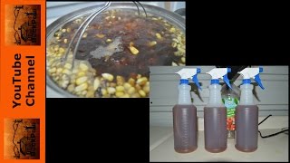 The Best Spray Deer Attractant?  14 Bait 14 Days