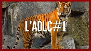 Un Tigre au Crétacé ? - l'ADLC#1