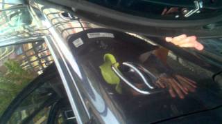 Drunk girl takes piss in parking lot at XTU Country Concert in Camden NJ 06/04/11