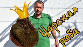 Шашлык из камбалы, самый вкусный шашлык из рыбы.