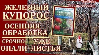 ОСЕННЯЯ ИСКОРЕНЯЮЩАЯ ОБРАБОТКА ЖЕЛЕЗНЫМ КУПОРОСОМ  ДЕРЕВЬЕВ,ВИНОГРАДА,ПОЧВЫ ..НУЖНА ЛИ ОНА?