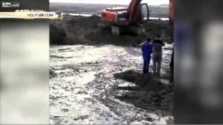 Тонущего в болоте оленя спасли экскаватором