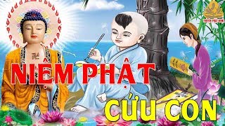 Đứa Con Thoát Chết Thần Kỳ Thoát Khỏi Bệnh Hiểm Nghèo Nhờ Mẹ Ăn Chay Niệm Phật - Truyện Phật Giáo