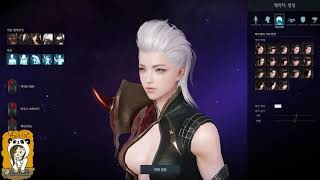 Lost Ark Classes and Character Customization (How to)
