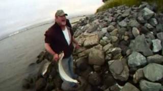 ★★★★★ "HALIBUT FISHING" & "STRIPED BASS FISHING" ★★★★★