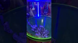 Как обмануть автомат бабломет