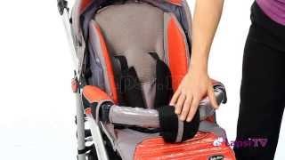 Прогулочная коляска Baby Care Discovery (Бэби Кэа Дискавери)