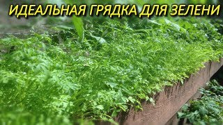 ИДЕАЛЬНАЯ ГРЯДКА ДЛЯ ЗЕЛЕНИ-2018.