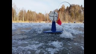 Оставил жерлицы без присмотра. Рыбалка на жерлицы с женой и сыном. Рыбалка в комфорте.