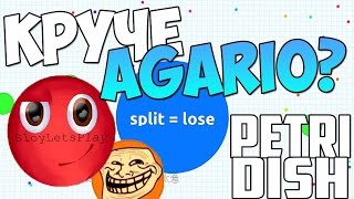 Petri Dish| Найс|#1