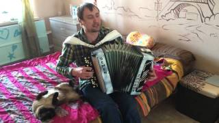Группировка Ленинград - СУПЕР ГУД (на баяне)