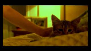 Hasmik Karapetyan - Es gnum em // Official Music Video //