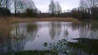 Caldicot Castle Country Park, South Wales, U.K.
