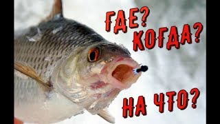 Зимняя рыбалка Где? Как? и на Что ловить? ГЛУХОЗИМЬЕ в Беларуси